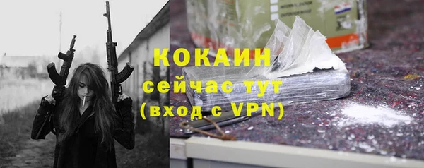 кокс Алексин