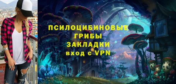 кокс Алексин