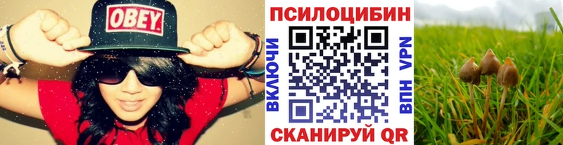 ссылка на мегу как войти  купить наркотики цена  Вилючинск  Псилоцибиновые грибы Psilocybine cubensis 